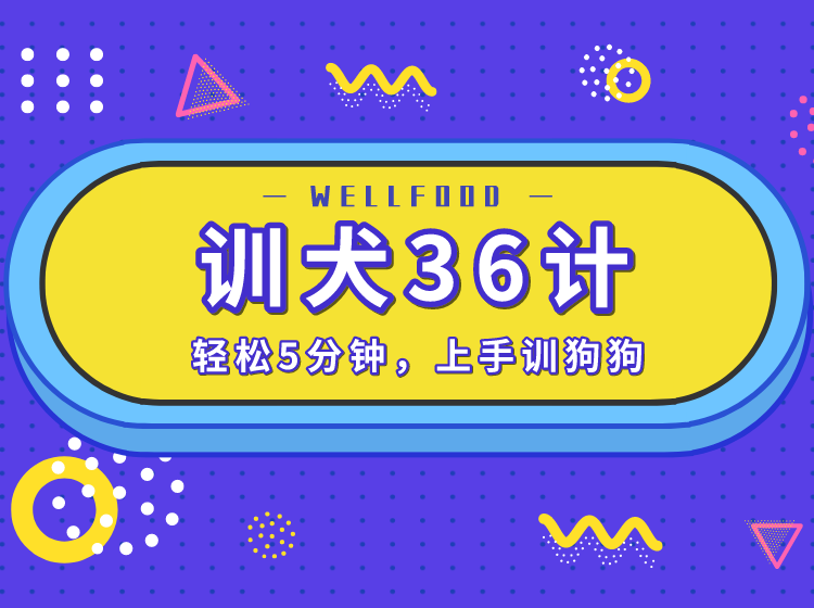 训犬36计
