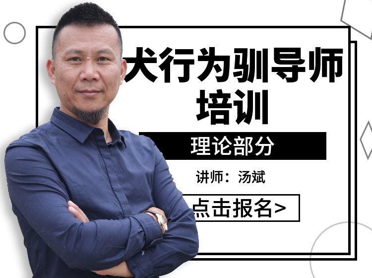 犬行为驯导师培训