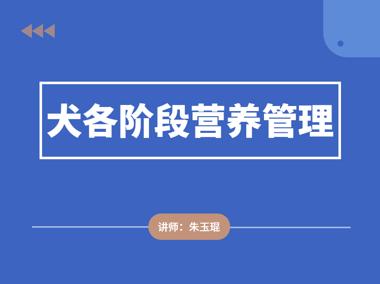 犬各阶段营养管理