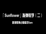 「Sunflower」指弹教学（二）