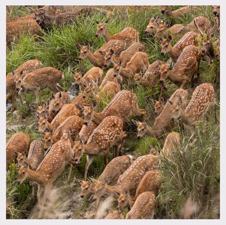 图片[2]-今日主推｜定制复团专场 2024年11月8日中午12点-远方好物 - 有机食品与健康生活专家