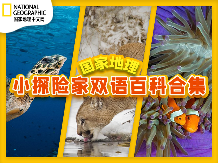 国家地理小探险家双语百科合集【买2送1】