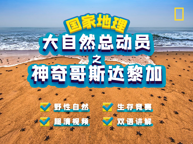 国家地理：大自然总动员之神奇哥斯达黎加