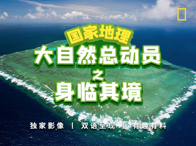 国家地理：大自然总动员之身临其境
