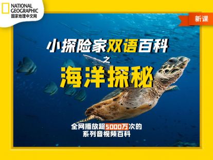 发刊词：一起去探索多彩的海洋世界吧！