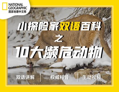 小探险家双语百科之10大濒危动物