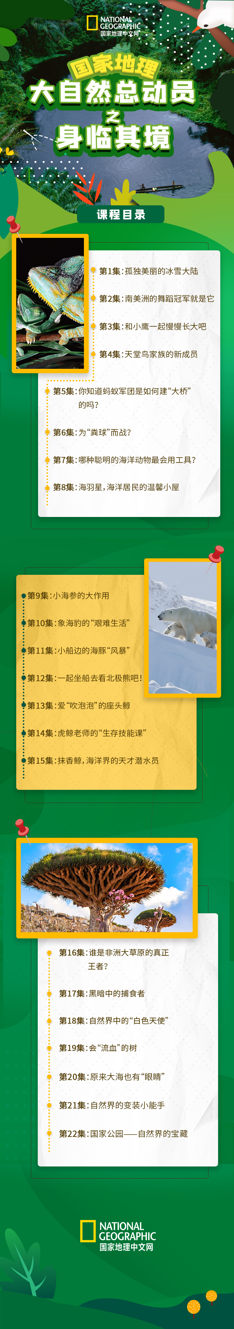 国家地理：大自然总动员之身临其境