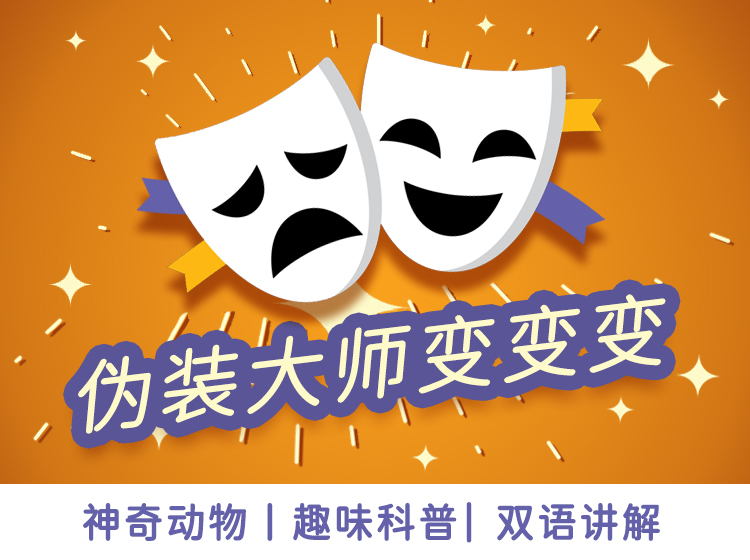 伪装大师变变变
