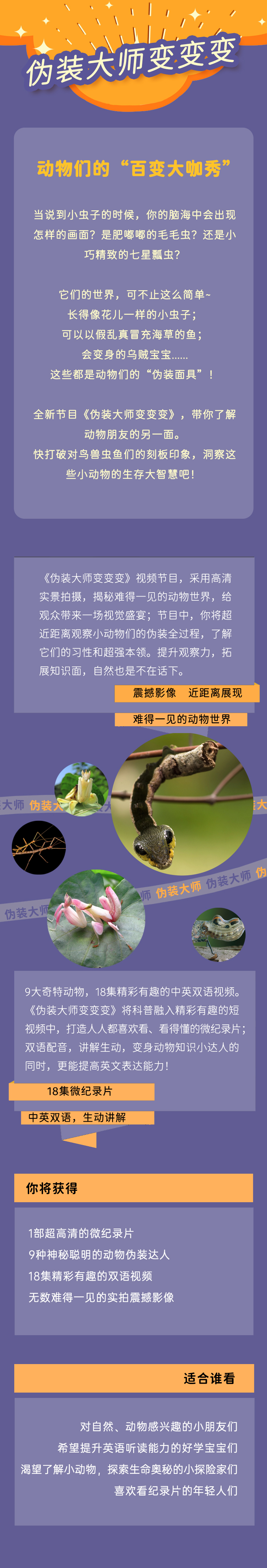 伪装大师变变变