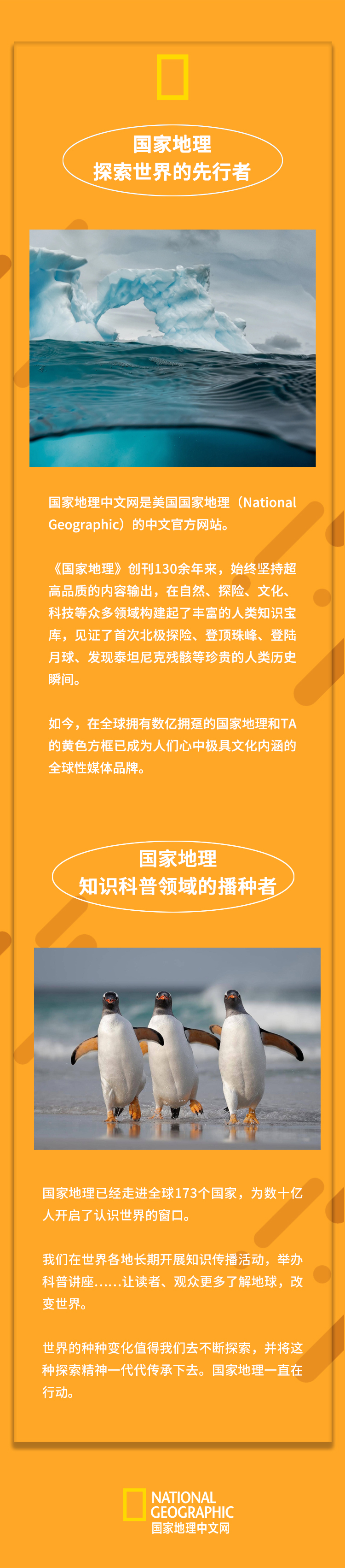 伪装大师变变变