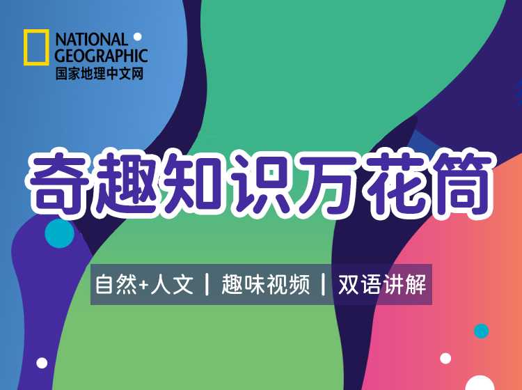 奇趣知识万花筒