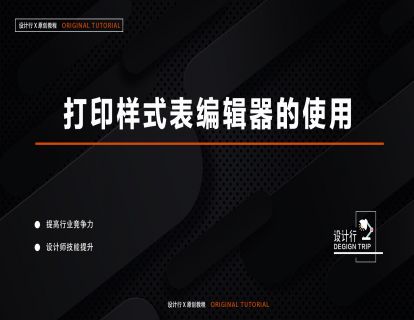 12.打印样式表编辑器的使用