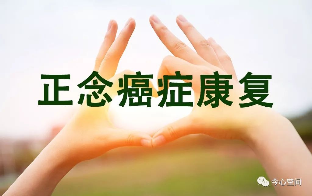 正念癌症康复自修课