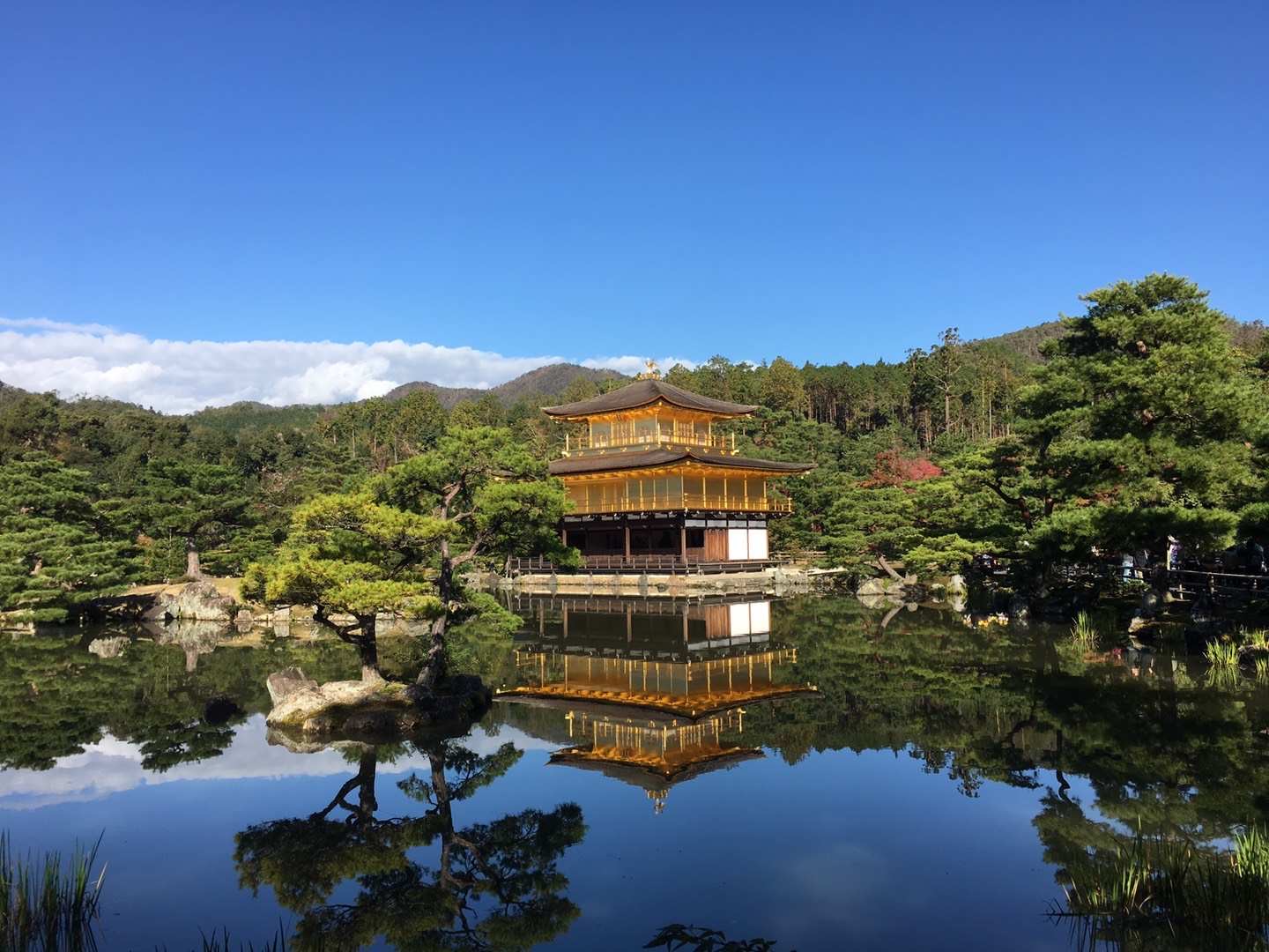 视频直播课|日本文化系列课程（开篇+全部八节课程）