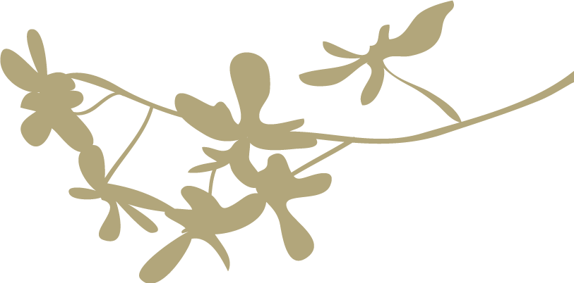 《道德经》通解
