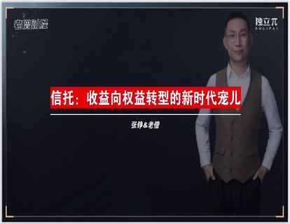 12  信托-收益性向权益性转型的新时代宠儿