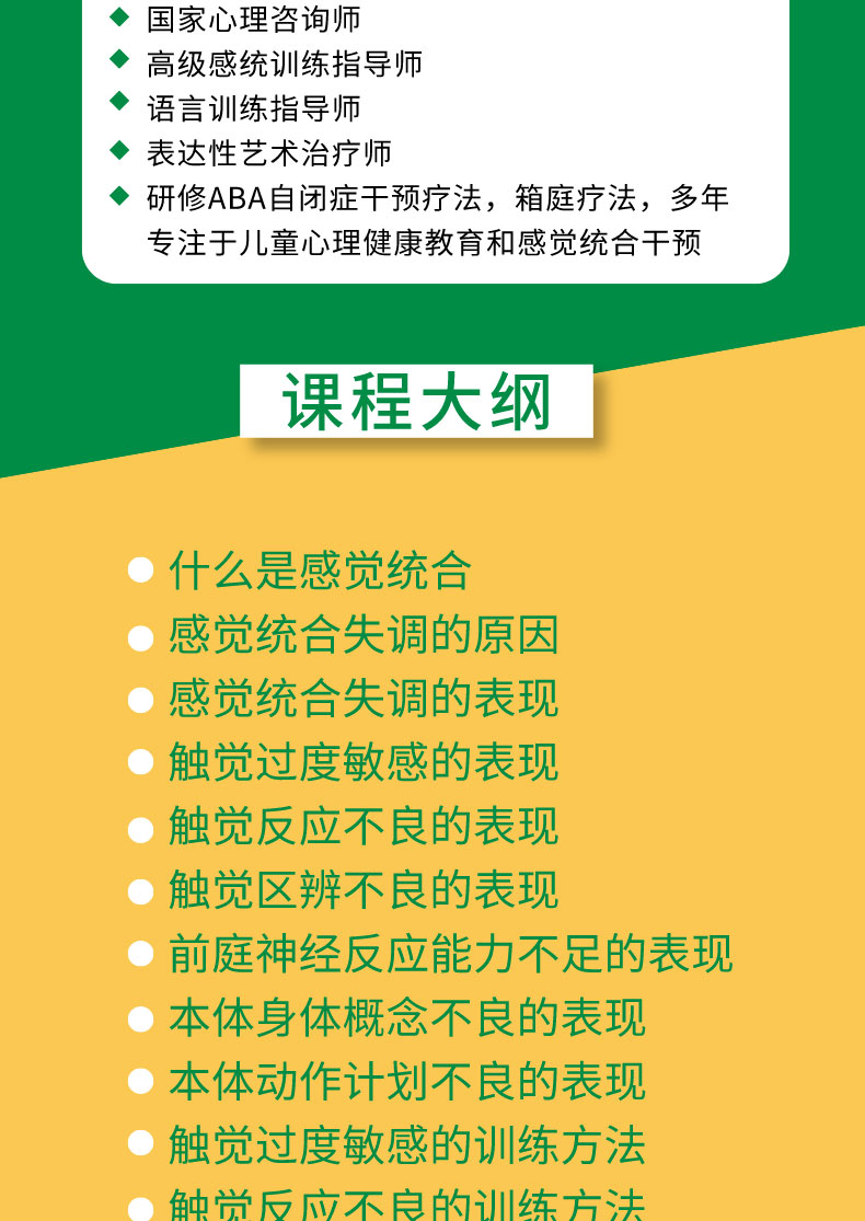 国际前沿感统-感觉统合理论课程