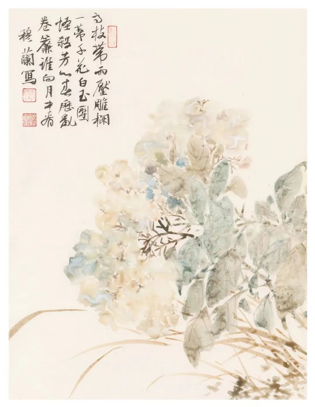 穆兰国画-玉兰花技法▶视频课