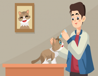 第25节：多久给猫驱一次虫 不会对其身体造成负担？