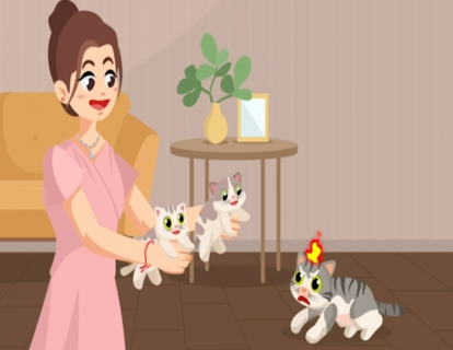 第19节：猫咪应激易致死 认识4种情况，做好这两点，远离应激困扰！