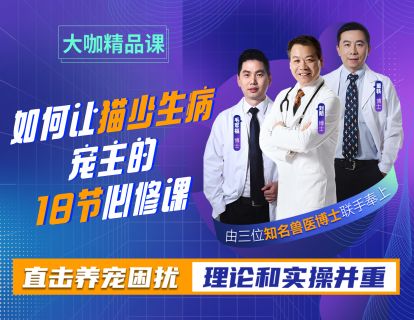 第1节：通过猫咪动作，教你一眼看穿它的小心思！