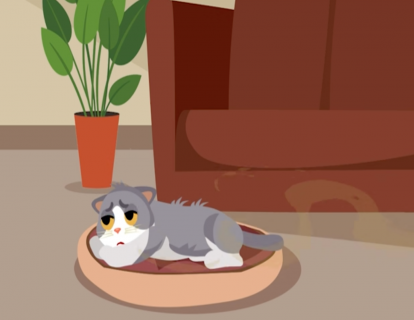 第30节：猫咪乱拉乱尿，尿味太大难根除？ 按这3步做就对了