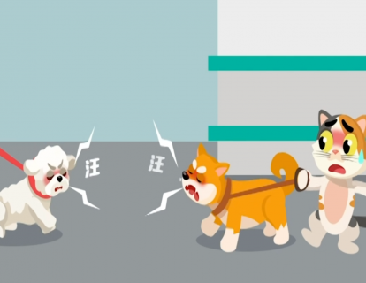 第9节：阻断狗狗打架，这招简单且有效！