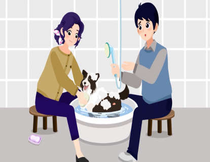 第14节：这样给狗洗澡，等于往它身上“泼硫酸”！