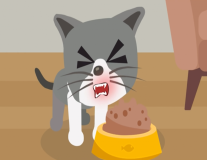 第22节：猫咪不刷牙 危害可能超出想象 学会4招让猫咪乖乖配合刷牙