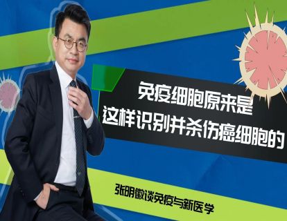 第3期：免疫细胞原来是这样识别并杀伤癌细胞的