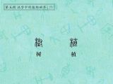第77讲 树、植：十年树木，百年树人