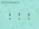 第76讲 本、末、朱：舍本逐末，腰记朱红