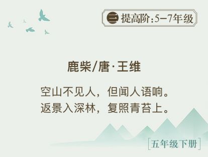 16.《鹿柴》 总有阳光会照到你身上