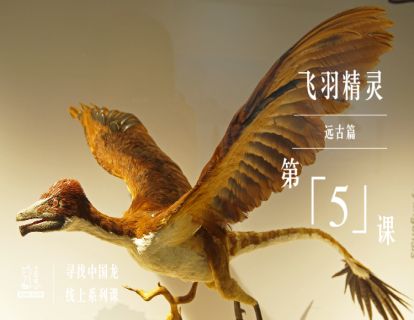 远古篇 | 第5课 飞羽精灵