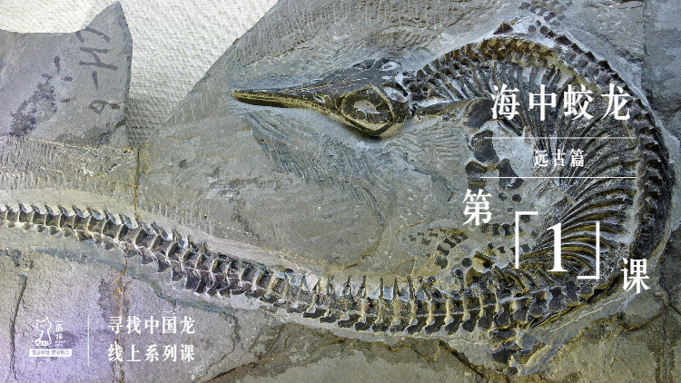 寻找中国龙·线上亲子系列课