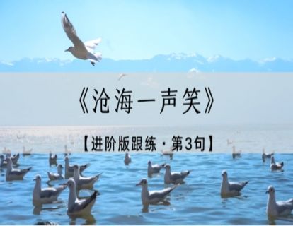 《沧海一声笑》进阶版跟练·第3句