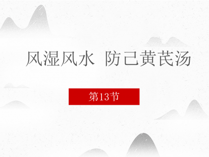 13 风湿风水 防己黄芪汤