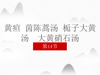 14 黄疸 茵陈蒿汤 栀子大黄汤 茵陈五苓散 大黄硝石汤