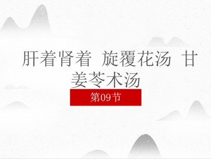 09 肝着肾着 旋覆花汤 甘姜苓术汤