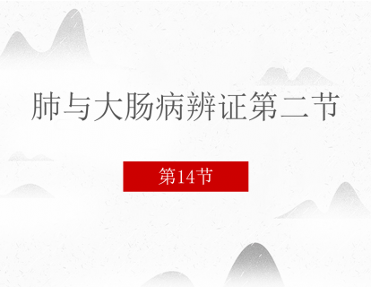 14 肺与大肠病辨证第二节