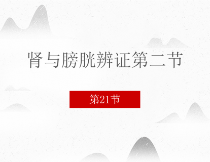 21 肾与膀胱辨证第二节