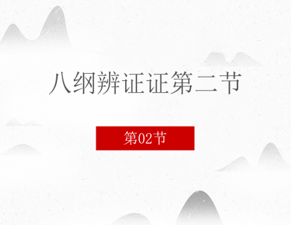 02 八纲辨证证第二节