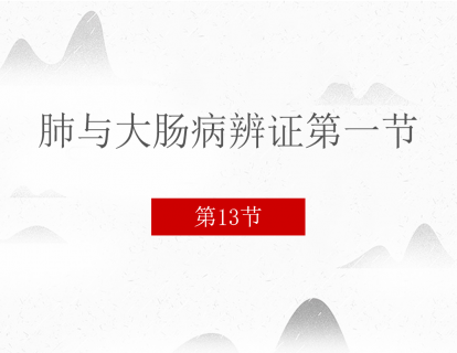 13 肺与大肠病辨证第一节