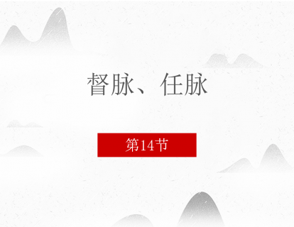 14.督脉、任脉