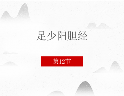 12.足少阳胆经