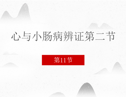 11 心与小肠病辨证第二节