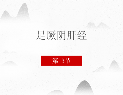 13.足厥阴肝经
