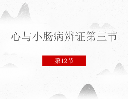 12 心与小肠病辨证第三节