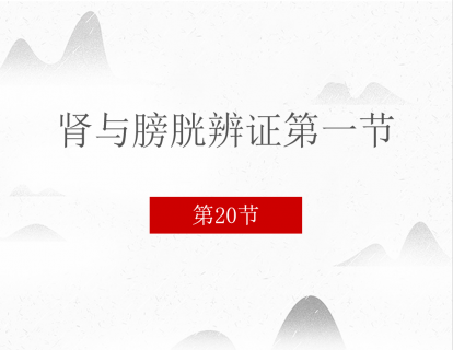 20 肾与膀胱辨证第一节