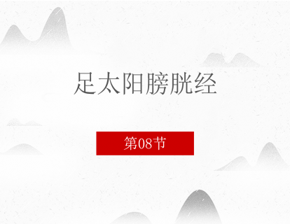 8.足太阳膀胱经